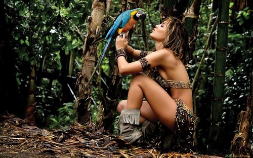 Computer Desktop Wallpapers Collection. www.cwer.ws