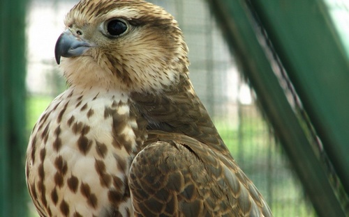 Computer Desktop Wallpapers Collection. www.cwer.ws