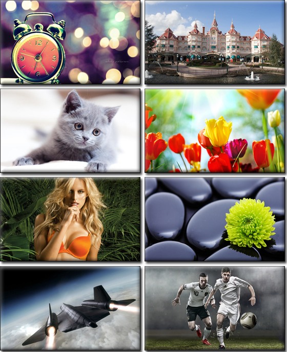 Computer Desktop Wallpapers Collection. www.cwer.ws