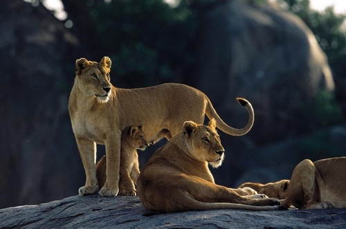 Computer Desktop Wallpapers Collection. www.cwer.ws