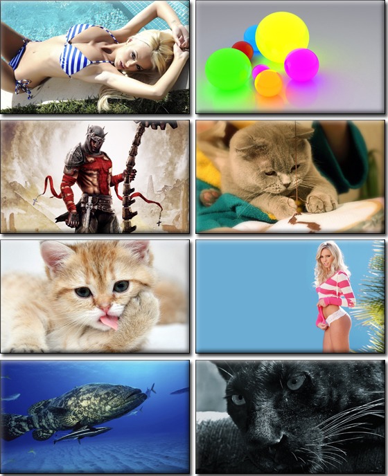 Computer Desktop Wallpapers Collection. www.cwer.ws