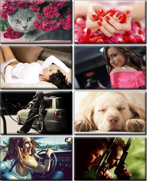 Computer Desktop Wallpapers Collection. www.cwer.ws