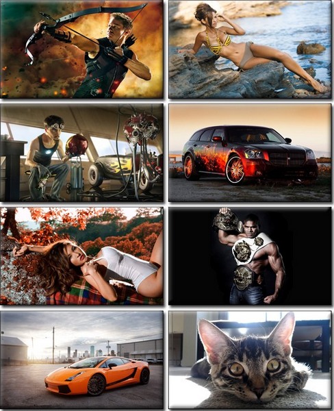 Computer Desktop Wallpapers Collection. www.cwer.ws