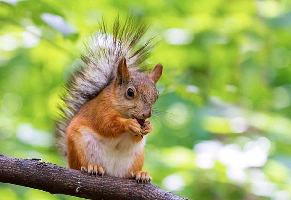 Fresh Computer Wallpapers #323