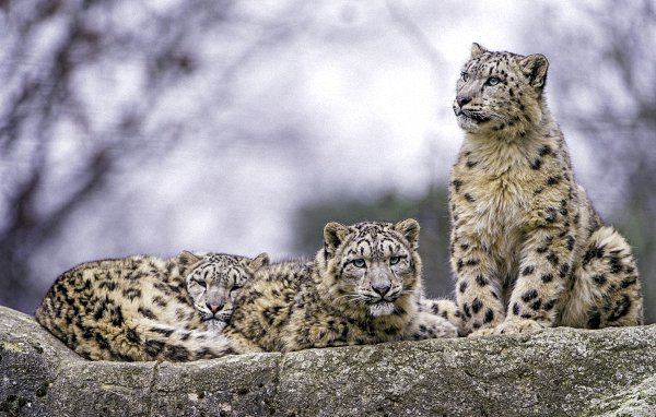 Fresh Computer Wallpapers #367