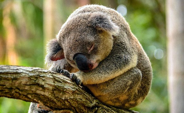 Fresh Computer Wallpapers #367