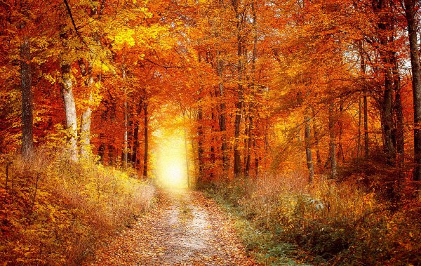 Fresh Computer Wallpapers #367