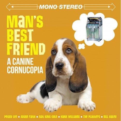 Mans Best Friend: A Canine Cornucopia 