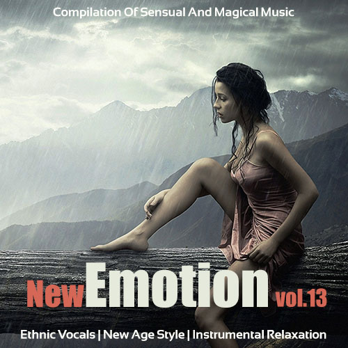 New Emotion Vol.13