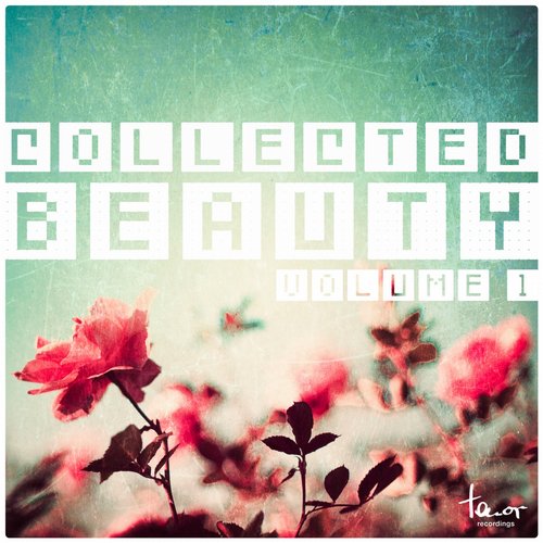 Collected Beauty, Vol. 1