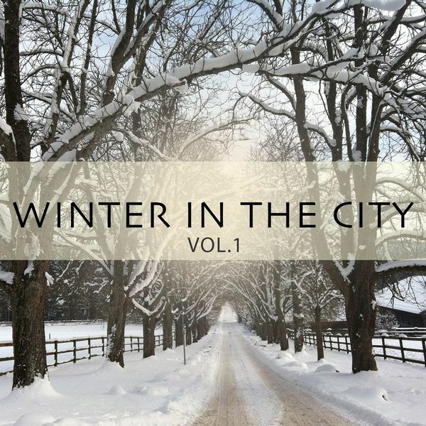 Winter in the City, Vol. 1