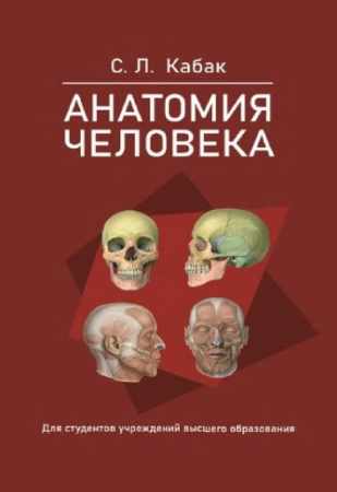 С.Л. Кабак. Анатомия человека
