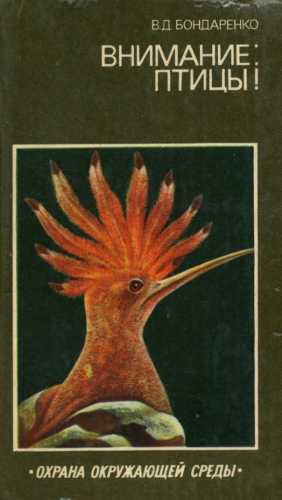 Внимание птицы