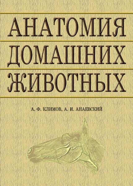 А.Ф. Климов. Анатомия домашних животных