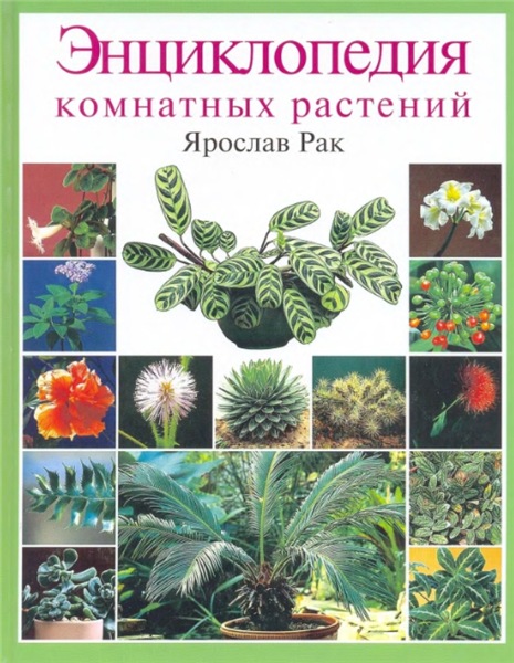 Я. Рак. Энциклопедия комнатных растений