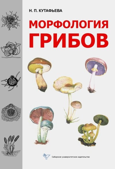 Н.П. Кутафьева. Морфология грибов