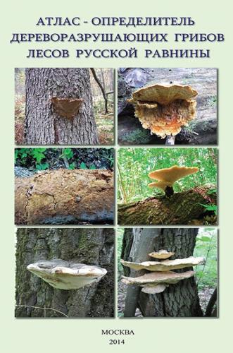 В.Г. Стороженко. Атлас-определитель дереворазрушающих грибов лесов Русской равнины