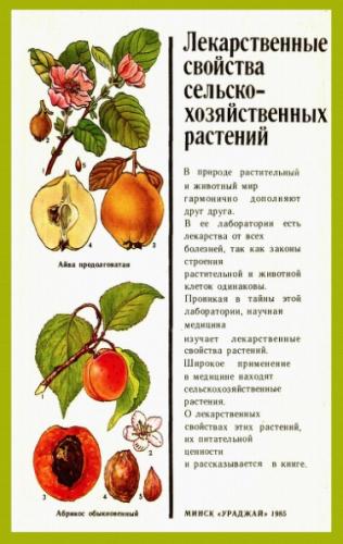 М.И. Борисов. Лекарственные свойства сельскохозяйственных растений
