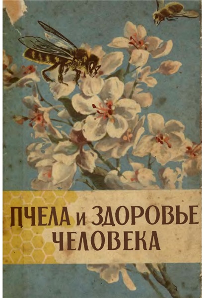 Т.В. Виноградова. Пчела и здоровье человека