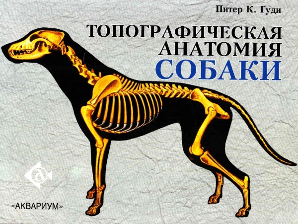 Питер К. Гуди. Топографическая анатомия собаки