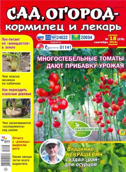 Сад, огород – кормилец и лекарь №18 (сентябрь 2016)