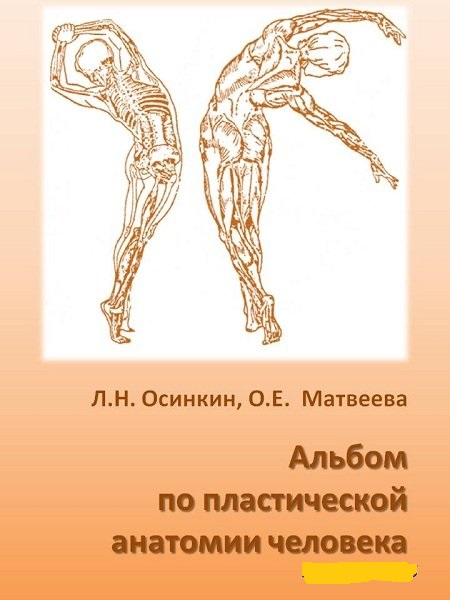 Л.Н. Осинкин. Альбом по пластической анатомии человека