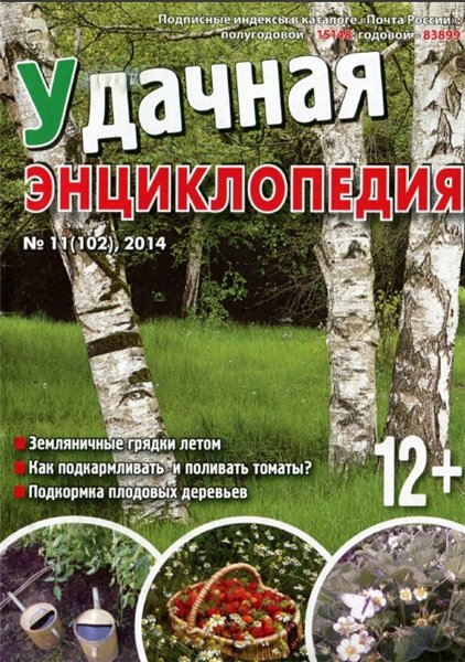 Удачная энциклопедия №11 (июнь 2014)