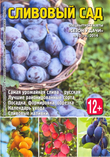 Сезон у дачи. Спецвыпуск №10 (август 2014). Сливовый сад