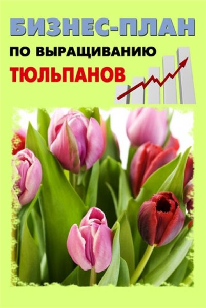Павел Шешко. Бизнес-план по выращиванию тюльпанов
