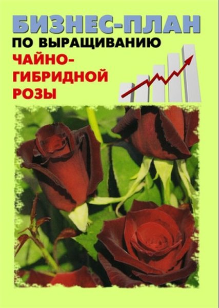 Павел Шешко. Бизнес-план по выращиванию чайно-гибридной розы