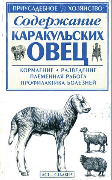 С.П. Бондаренко. Содержание каракульских овец