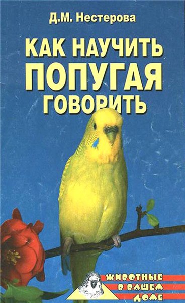 Дарья Нестерова. Как научить попугая говорить