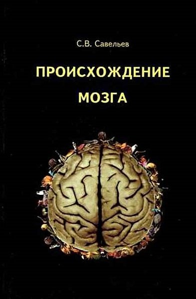 С. В. Савельев. Происхождение мозга