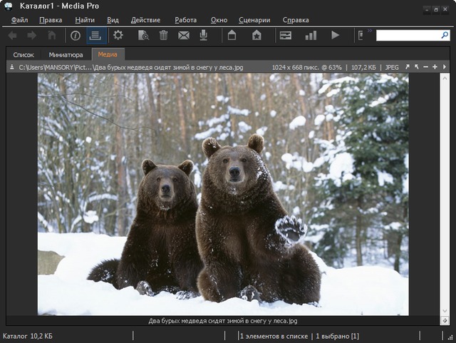 Phase One Media Pro SE 2.3.0.266 + Rus