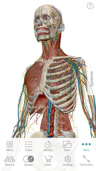 Human Anatomy Atlas2