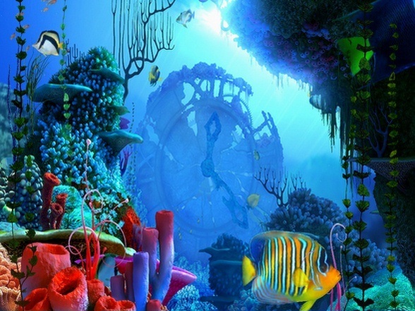 Coral Clock 3D Screensaver