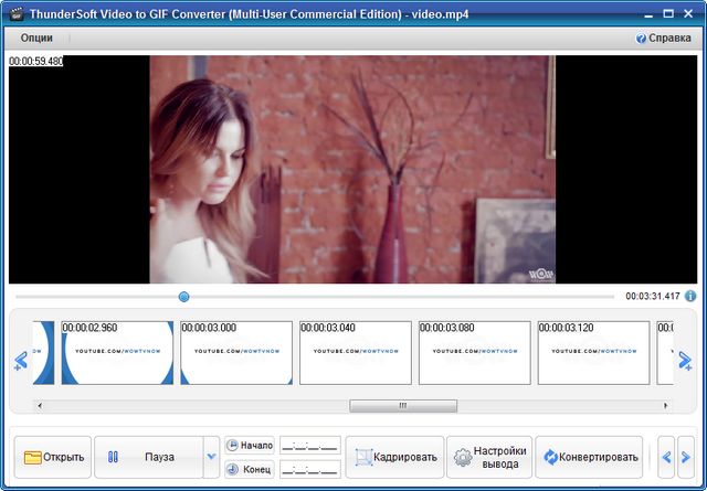 ThunderSoft Video to GIF Converter 1.6.0