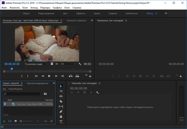 Adobe Premiere Pro CC 2019 (v13.0.2.38) RePack [MULTILANG] X64 Free Download