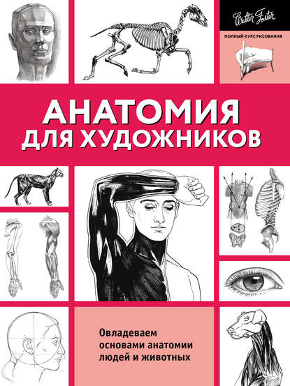 anatomiya-dlya-hudozhnikov