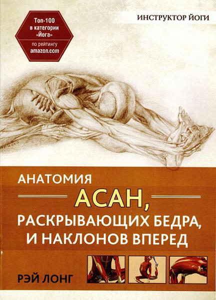 anatomiya-asan-raskryvayuschih-bedra-i-naklonov-vpered