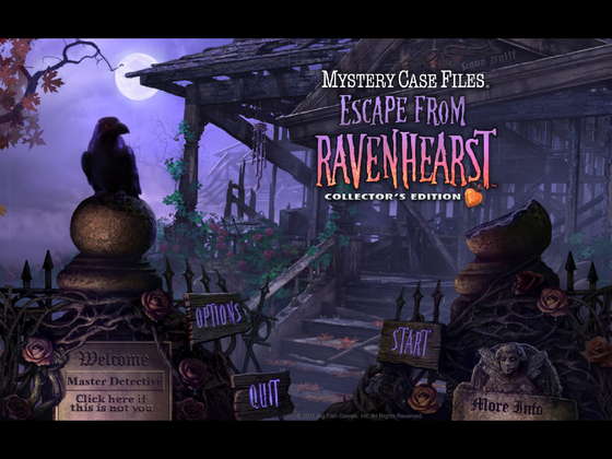 картинка к игре Mystery Case Files: Escape from Ravenhearst