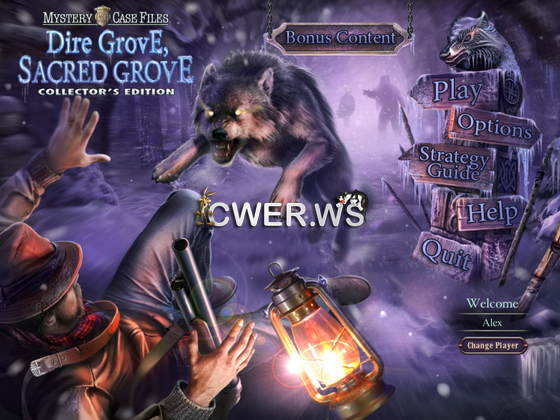 скриншот игры Mystery Case Files 11: Dire Grove, Sacred Grove Collector's Edition