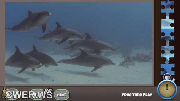 скриншот игры Animal Alive