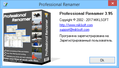 Professional Renamer