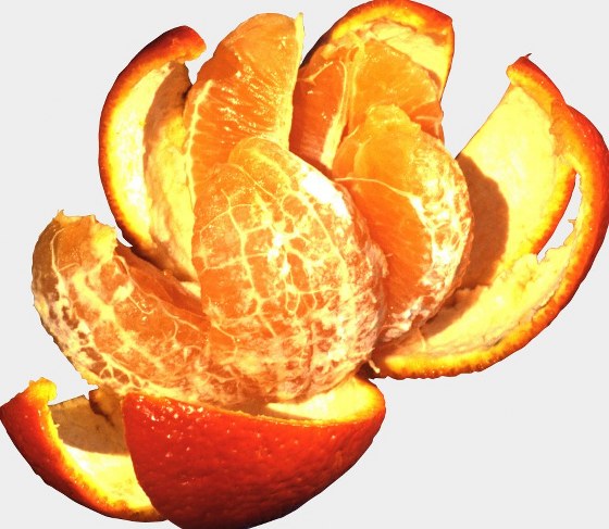 Stock Photo - Orange, Lemon & Lime with mint