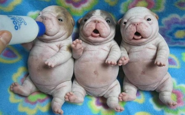 New Mixed HD Wallpapers Pack 316