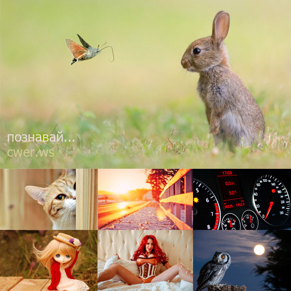 New Mixed HD Wallpapers Pack 193
