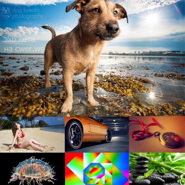New Mixed HD Wallpapers Pack 196