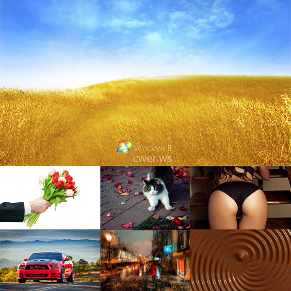 New Mixed HD Wallpapers Pack 214