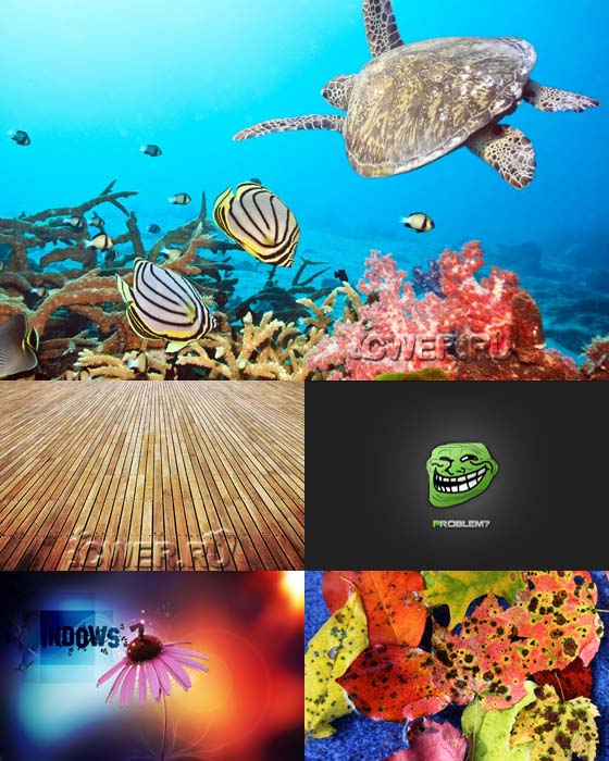 Best Mixed Wallpapers Pack